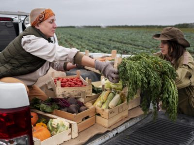 Farm and Ranch Trailer Strategies to Boost Productivity