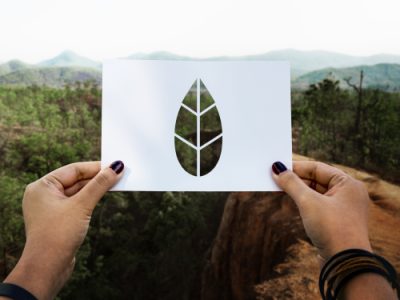 How MyTrailer.com Cuts Carbon Footprints