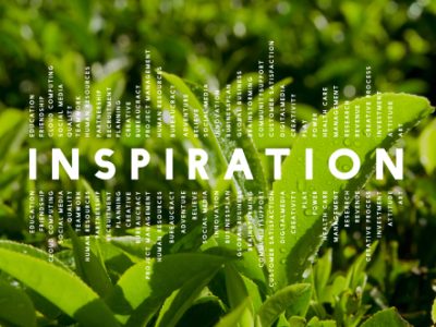 Green Tech in Trailer Design: What’s Next for Sustainability?