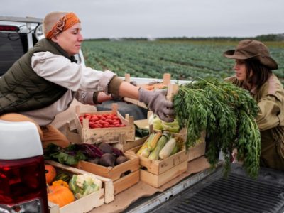 Utility Trailer Rentals Aid Seasonal Farm Needs