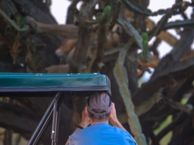Why Landscaping Pros Choose Utility Trailers Today