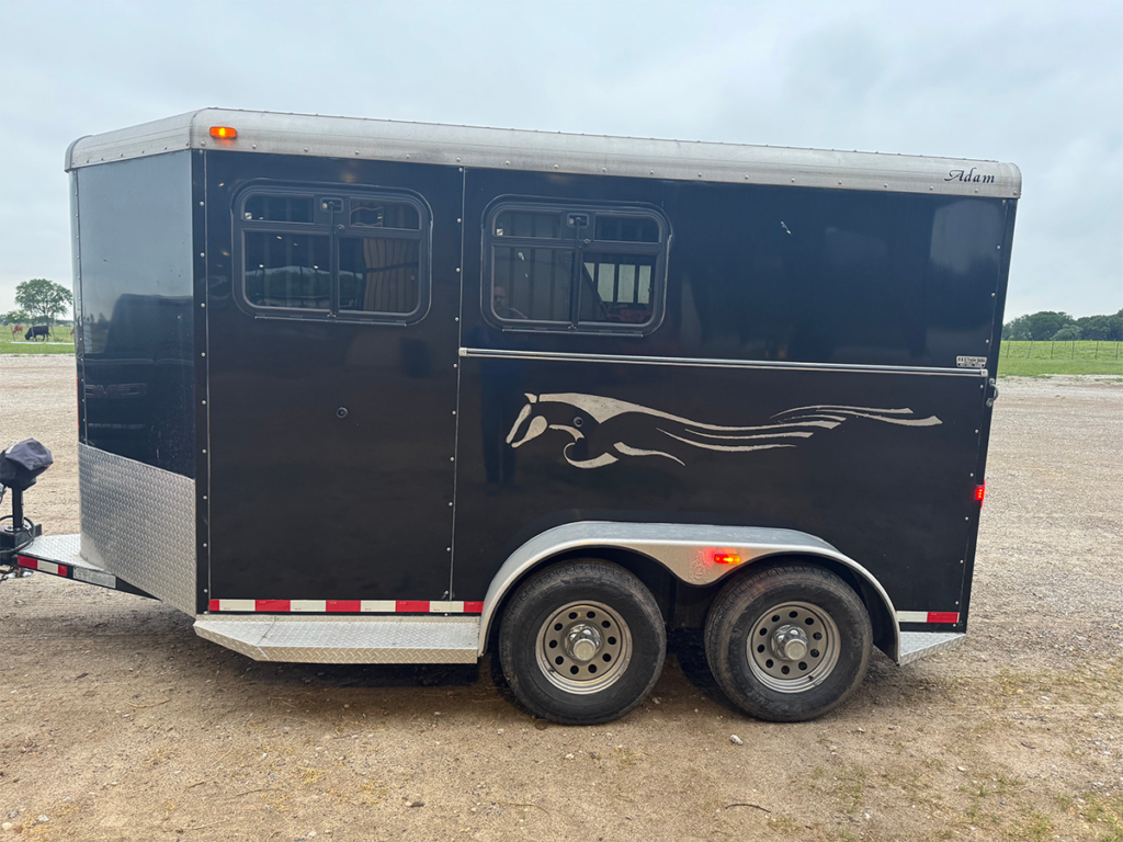 Enclosed 2 Horse Slant