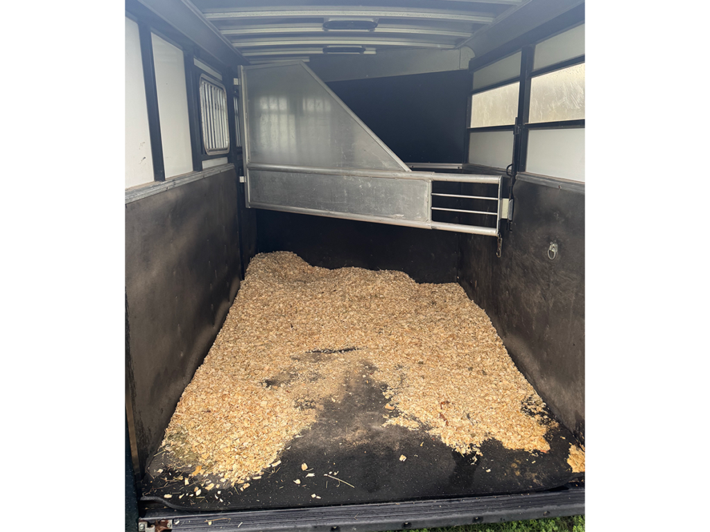 Enclosed 2 Horse Slant