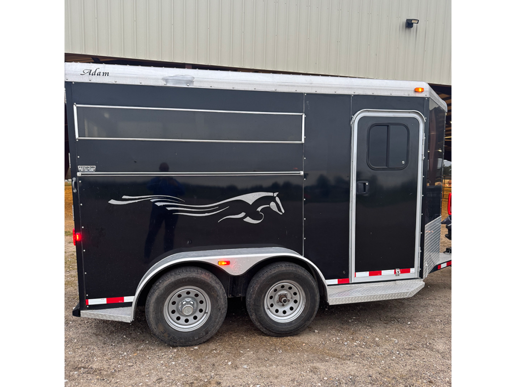 Enclosed 2 Horse Slant